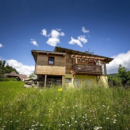 Gaestehaus Biobauernhof Mandl Murau Exteriör bild