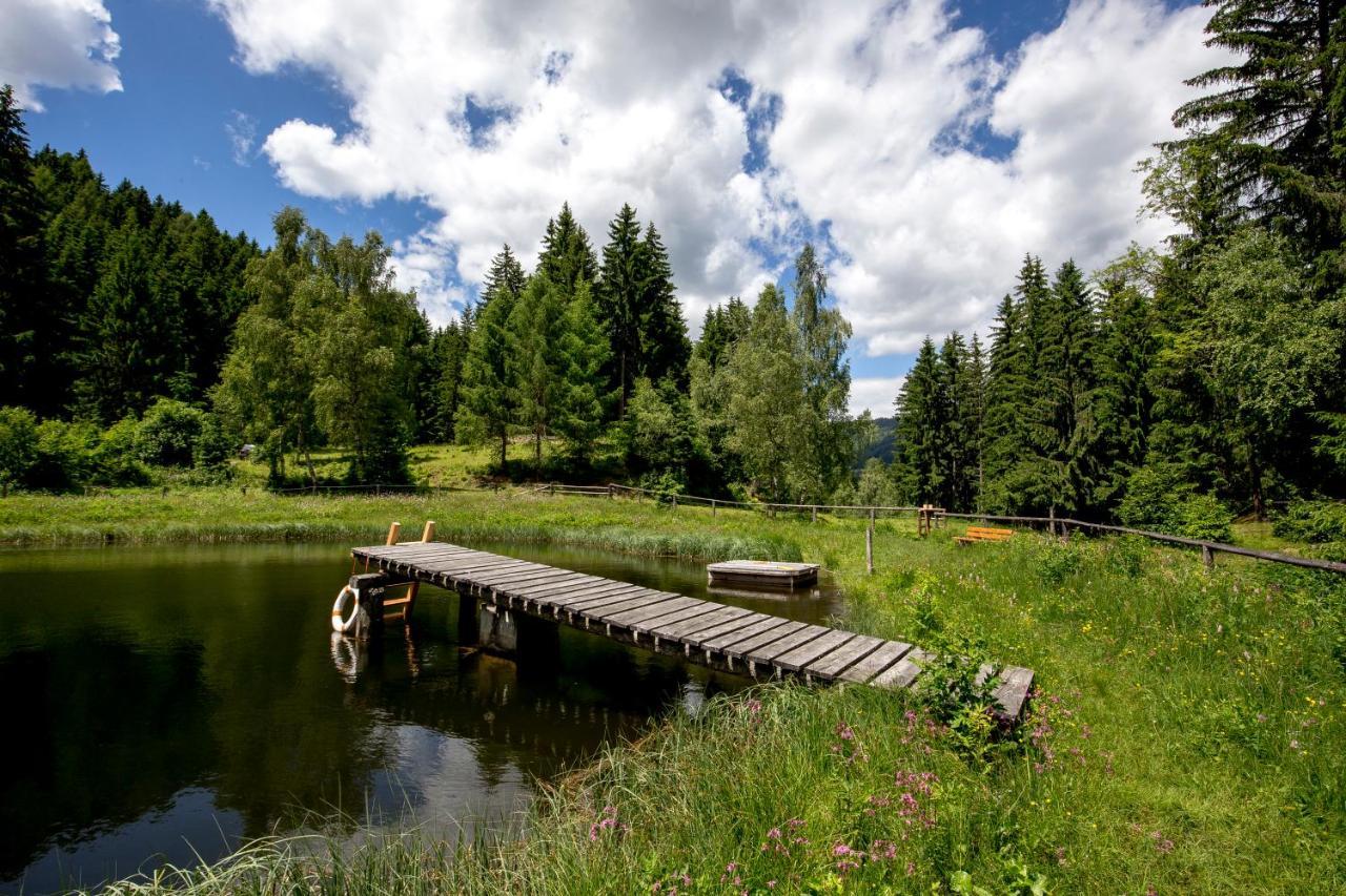 Gaestehaus Biobauernhof Mandl Murau Exteriör bild
